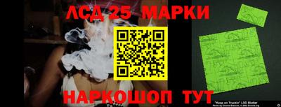 индика Шелехов