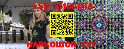 индика Шелехов