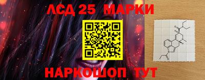 индика Шелехов