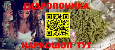 гидропоника Шахты