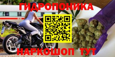 гидропоника Шахты