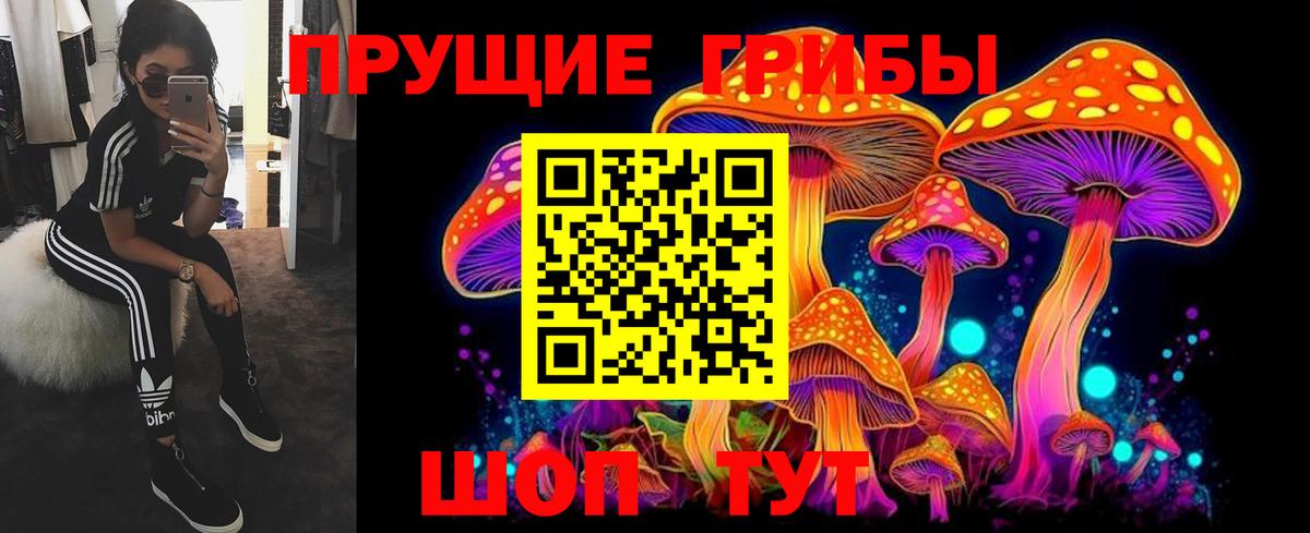 Галлюциногенные грибы Magic Shrooms  Вход с VPN  Жуковский 